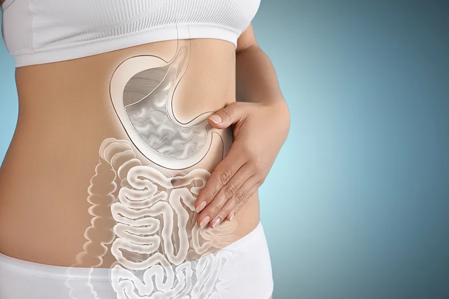 Gut-Health-Doctor Close up of the midriff of a woman with white underwear and an illustration of the digestive system superimposed over the image. Get help for digestive issues and gut health from Better Life Carolinas of Charlotte in Charlotte Metro.